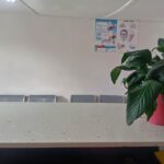 IMG-20250414-WA0142