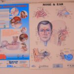 IMG-20250414-WA0145